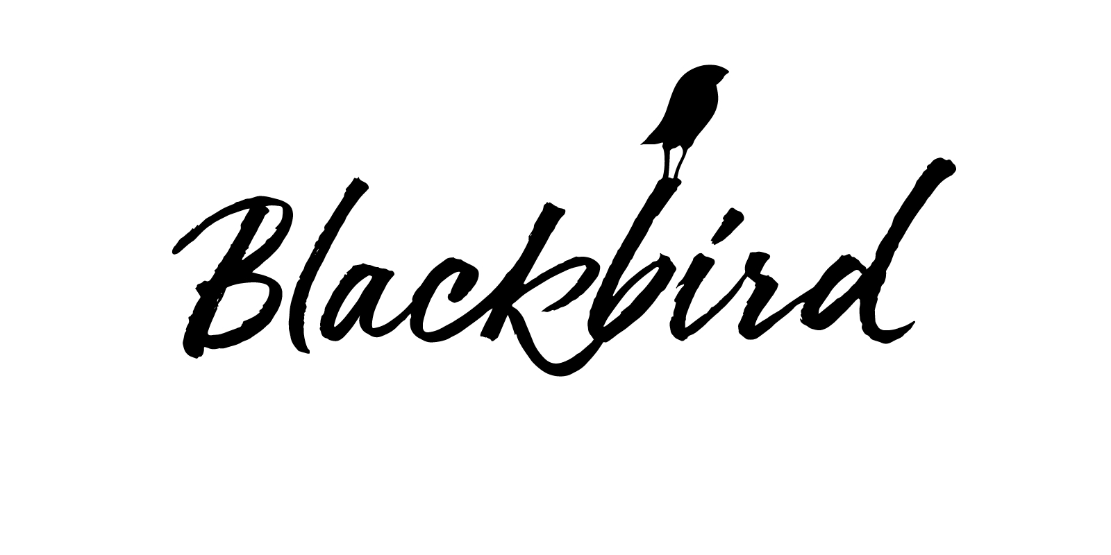 Blackbird